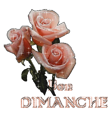 Bon Dimanche à tous !